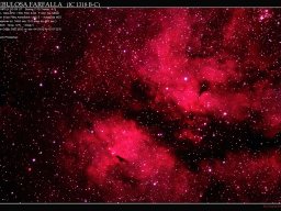 NEBULOSA FARFALLA